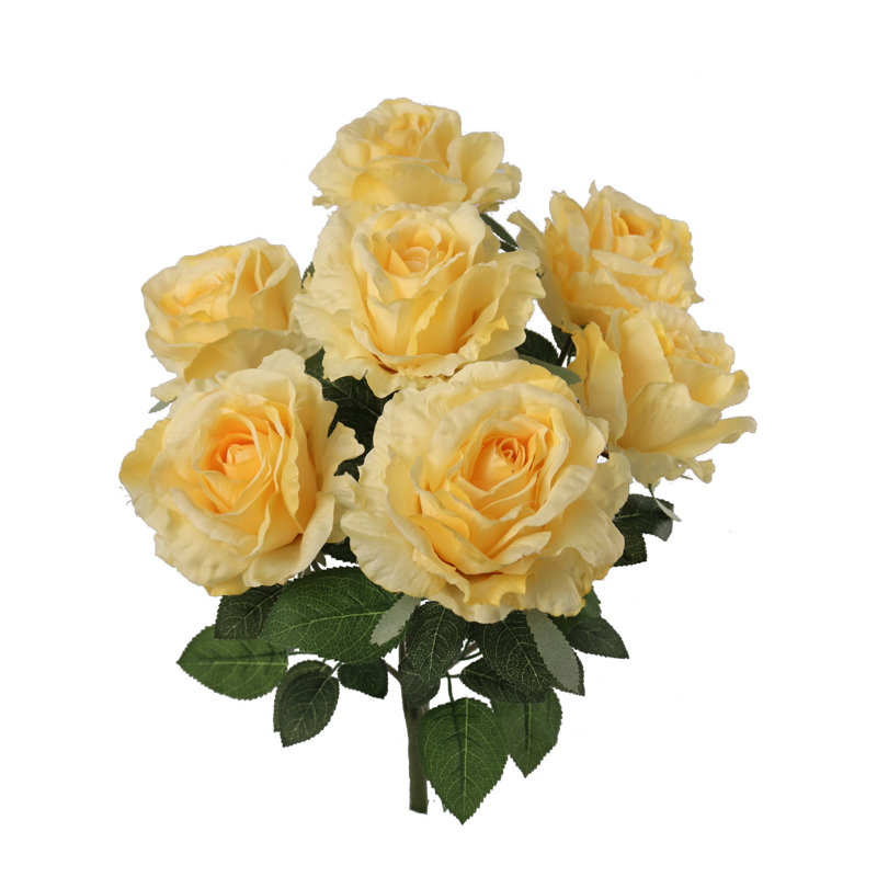 Rosier x 7 fleurs, Jaune