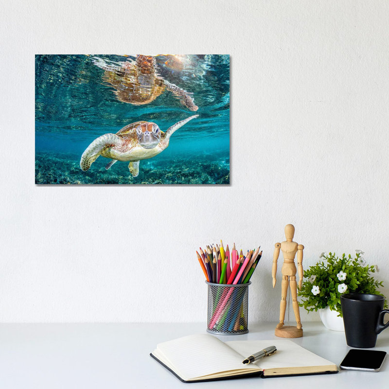 Turtle Wink by Jordan Robins - Wrapped Canvas Print, 20.32 cm H x 30.48 cm W