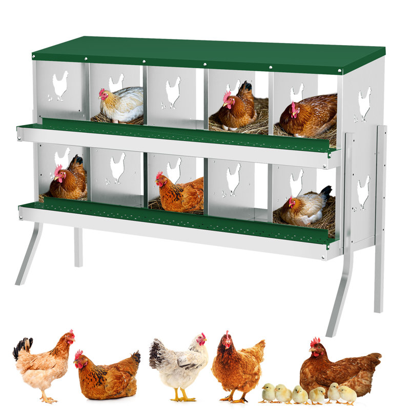 Chicken Coop, Green