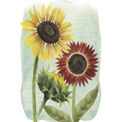 Étude de tournesol II