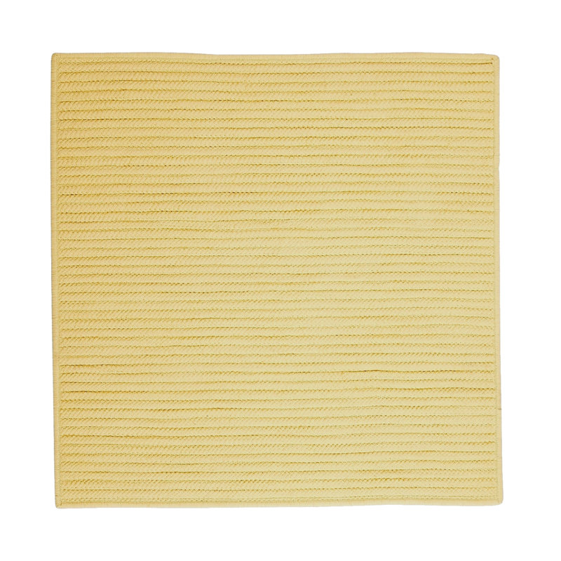 Indoor / Outdoor Rug