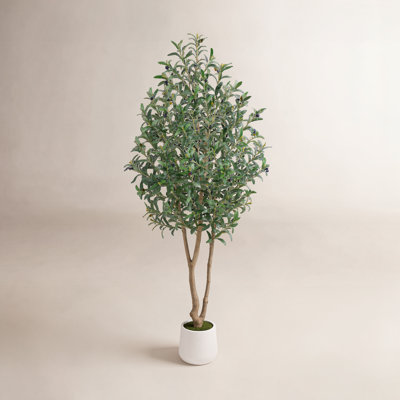 Adcock 6Ft Artificial Olive Tree In White Pot, Faux Silk Floor Plant With Realistic Olives & Lush Leaves For Modern Farmhouse Décor