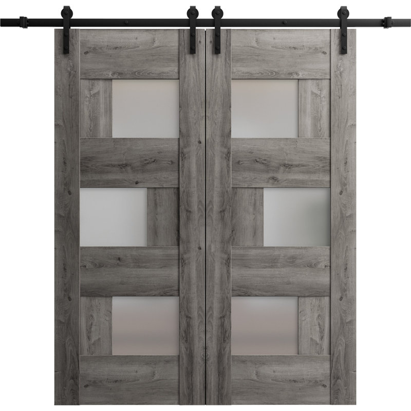 Porte de grange double robuste | Sete 6933 noir mat avec verre givré | Ensemble de 13 cintres lourds pour rail | Portes intérieures solides