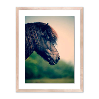 Horse Profile 5 Print by Pernille Westh