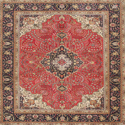 Rayhan Oriental Indoor Rug