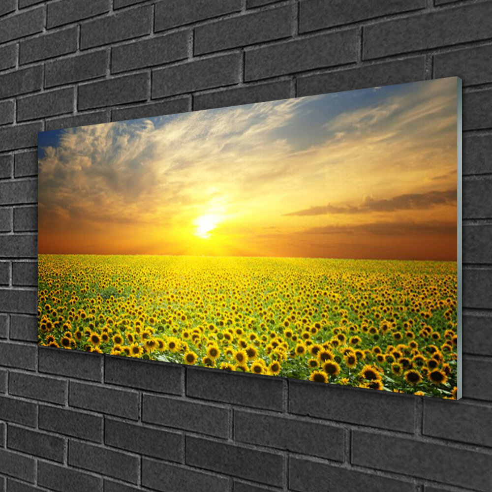 Glasbild Natur Sonnenwiese Sonnenblumen