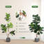 Figuier artificiel avec 108 feuilles réalistes en pot de fleurs blanc