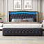 Danayjah Upholstered Bed-803665019-803665021