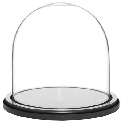 Vucciria Glass Display Dome Cloche