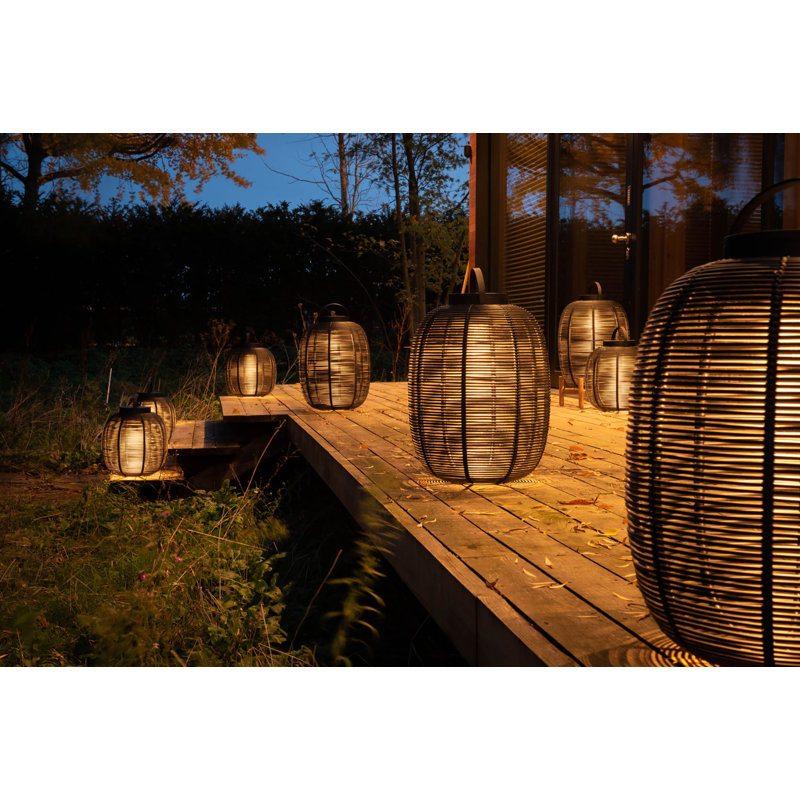 Tika LED Outdoor Wall Lantern, 16.14" H x 13.78" W x 13.78" D, Black