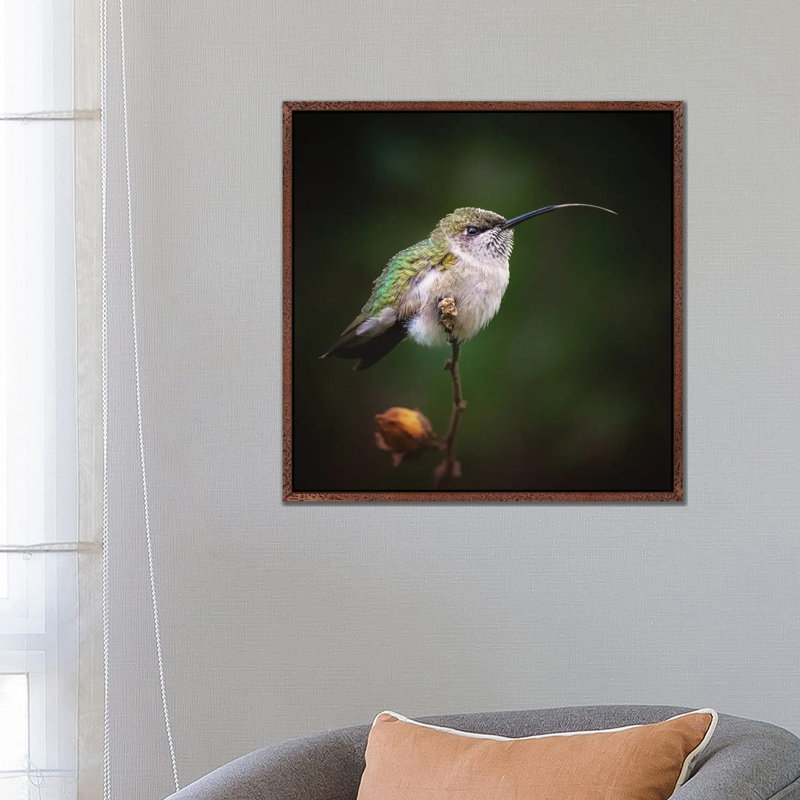 Shimmer by Rupa Sutton - Gallery-Wrapped Canvas Giclée on Canvas, Classic Wood Framed, 66.04 cm H x 66.04 cm W