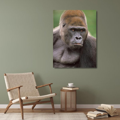 «Red Barrel Studio® Fitzharris, Tim», art sur toile tendu sous le titre: Gorilla 58956