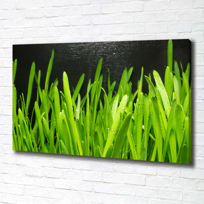 Grass 1 Piece Wrapped Canvas Wall Art