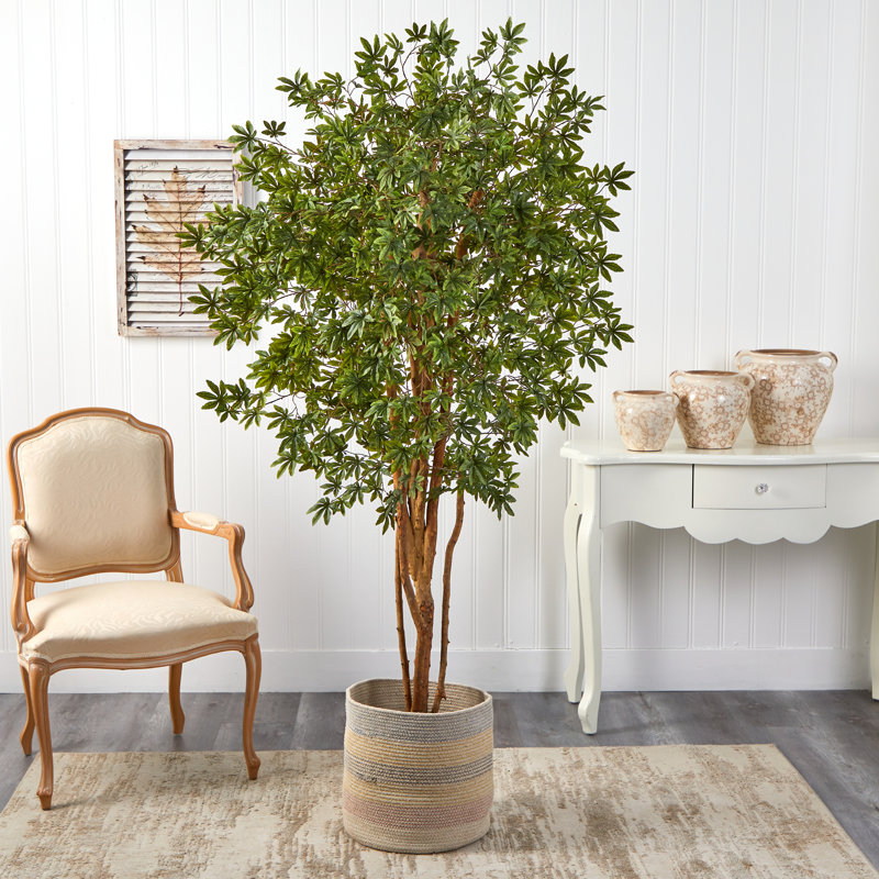 72'' Faux Maple Tree in Burlap, Cotton Planter