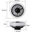 Vika Ceiling Fan with LED Lights