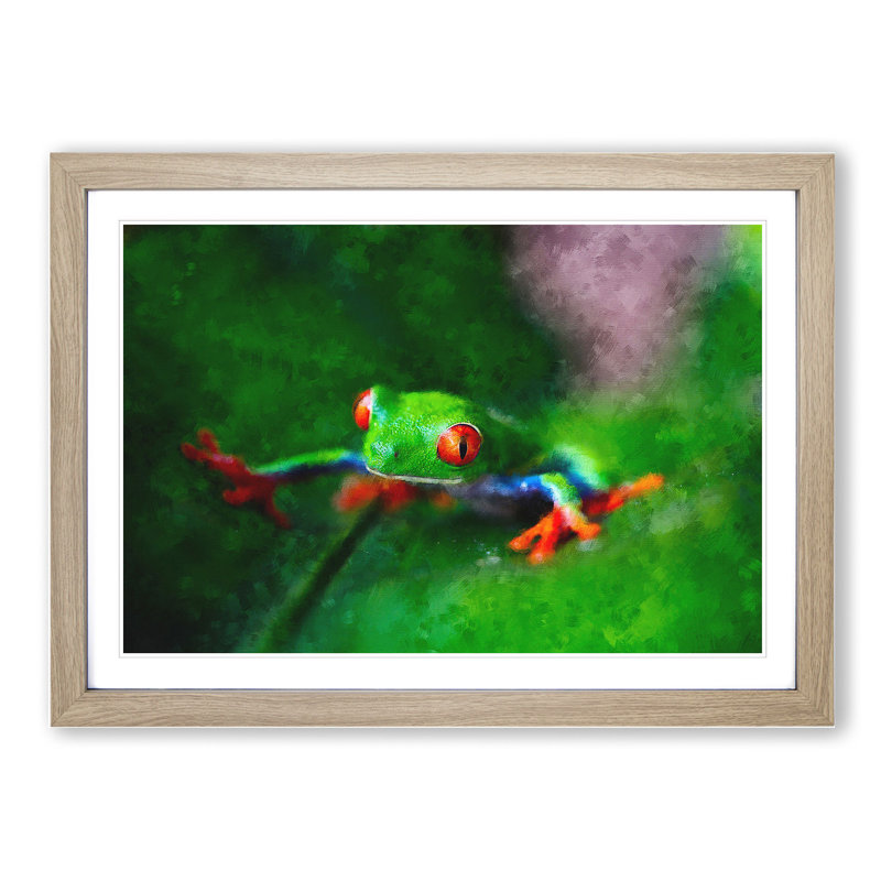 Tree Frog Vol.1 - Picture Frame Graphic Art, Oak, 27cm H x 36cm W x 2cm D