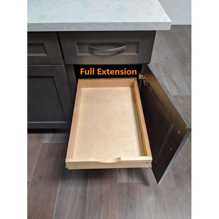 https://assets.wfcdn.com/im/66129710/resize-h755-w755%5Ecompr-r85/2196/219695250/Hovannes+Pull+Out+Cabinet+Organizer+Drawer+Pull-out+Cabinet+Organizer++-+DIY.jpg