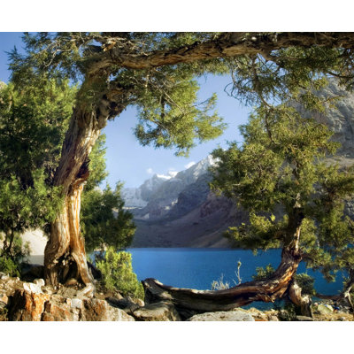 Murale l vieux gnarled arbre 11,8 pi x l 106 po mountain river
