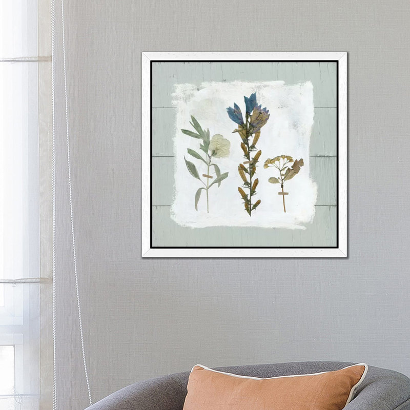 Pressed Flowers On Shiplap I by Carol Robinson - Floater Frame Painting on Canvas, White, 45.72 cm H x 45.72 cm W