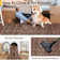 Vintage Full Pattern Washable Area Rug With Non Slip Backing