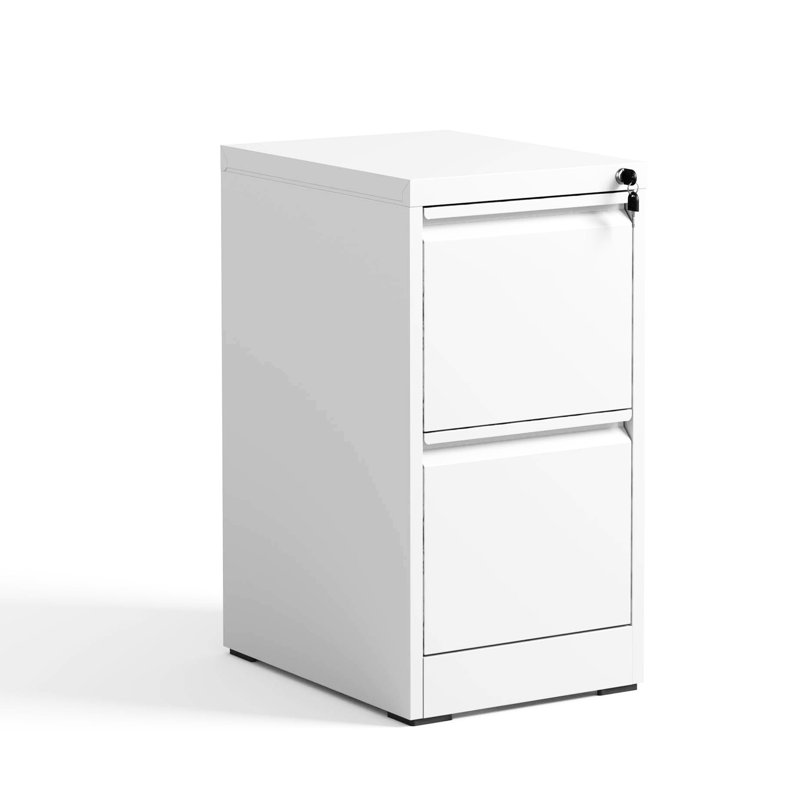 Palvinder 2 Drawer Metal Vertical File Cabinet With Lock, For Office/Home Use, Tilt, Spacious Organization Drawers, Office/Home, Build,