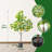 4FT Artificial Lemon Tree for Home Decor