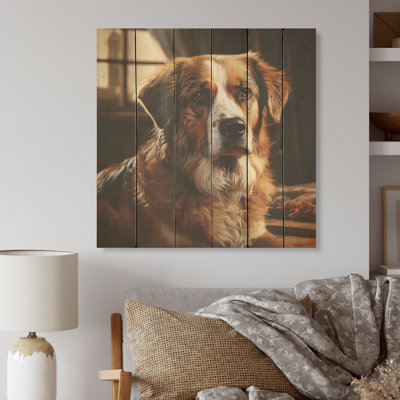 Saint Bernard, sérénité I - chien, art mural sur bois de pin naturel