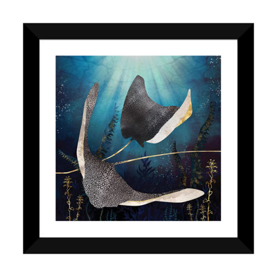 " Metallic Stingray "