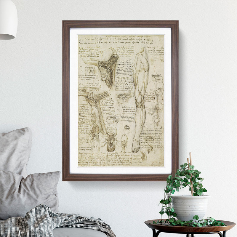 Human Anatomy Vol.7 by Leonardo Da Vinci - Framed Print, Walnut Framed, 36cm H x 27cm W x 2cm D