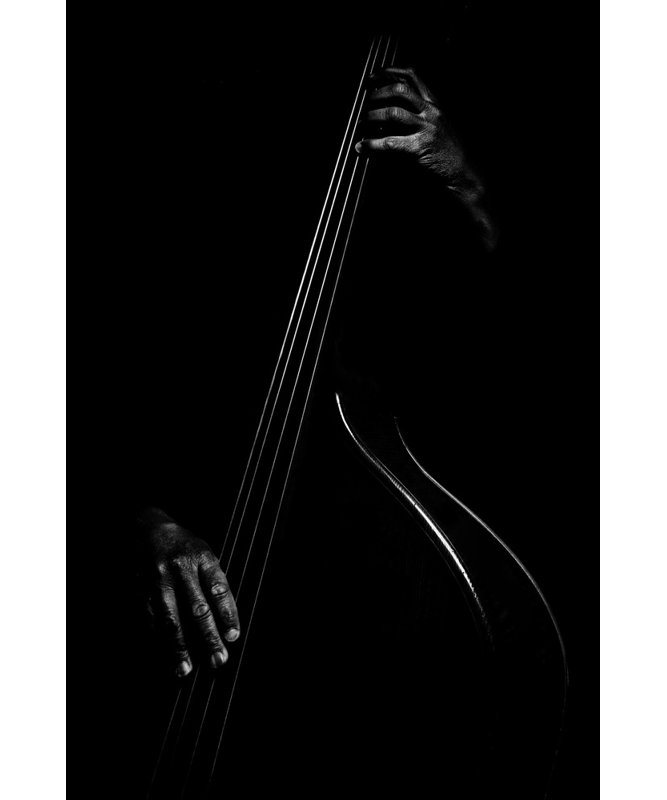 Wrapped Canvas Print, 50.8 cm H x 76.2 cm W