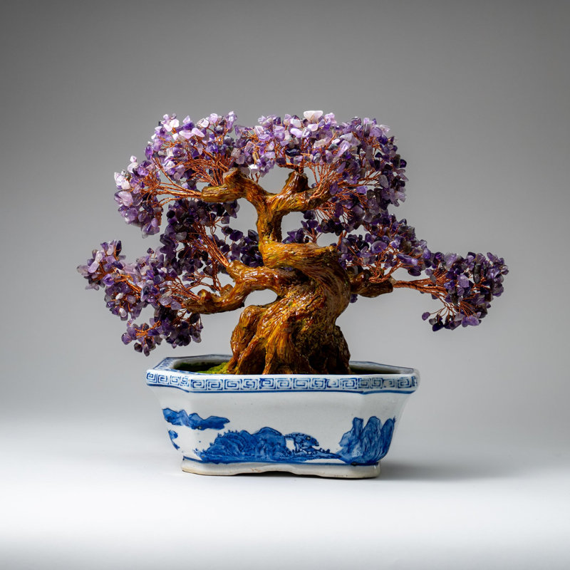 Véritable bonsaï améthyste en pot en céramique (hauteur de 12 €)