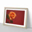 Orange Rose in Bloom - Picture Frame Graphic Art Print-55734001-55734006