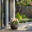 Pot à fleurs en ciment Highwoods-1185109732-1168435958