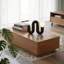 Table basse de salon Roanoke (avec fonction de rangement), mobilier de salon moderne, brun