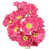 Magenta selected