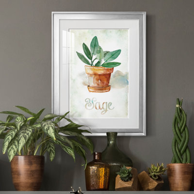Sauge en pot - Encadrée sous verre acrylique, grand tableau pour salon
