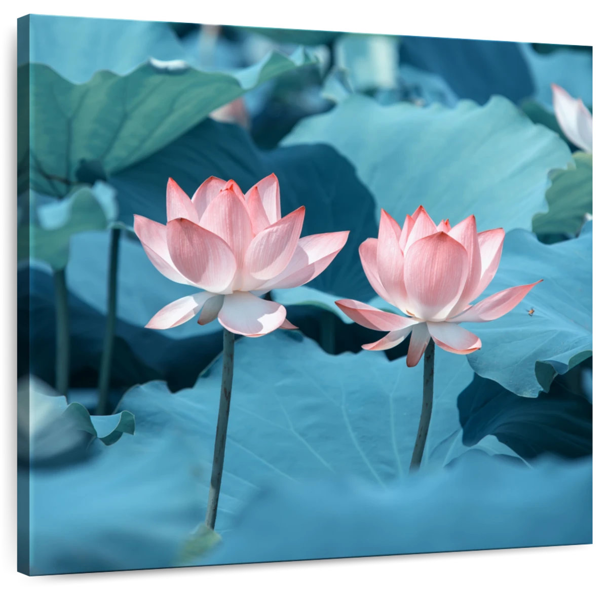 Image result for Lark Manor Harnek Pale Lotus Flowers - Wayfair Canada