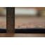Tapis traditionnel New Elegant 9 x 11