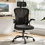 High Back Ergonomic Mesh Office Chair-718262171