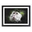 Macaque Monkey - Picture Frame Graphic Art-62802277-62802280