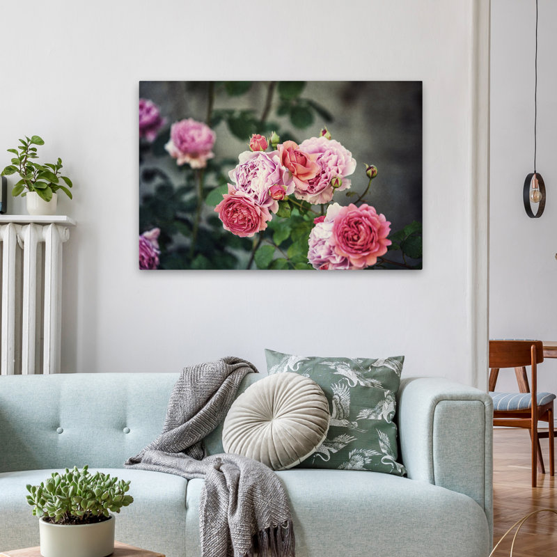 Plantes, fleurs, roses d'Ecosse III, art mural, H 24 po x l 36 po