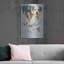 «Jack Russell and Ghost» par Barbara Keith-1432894407