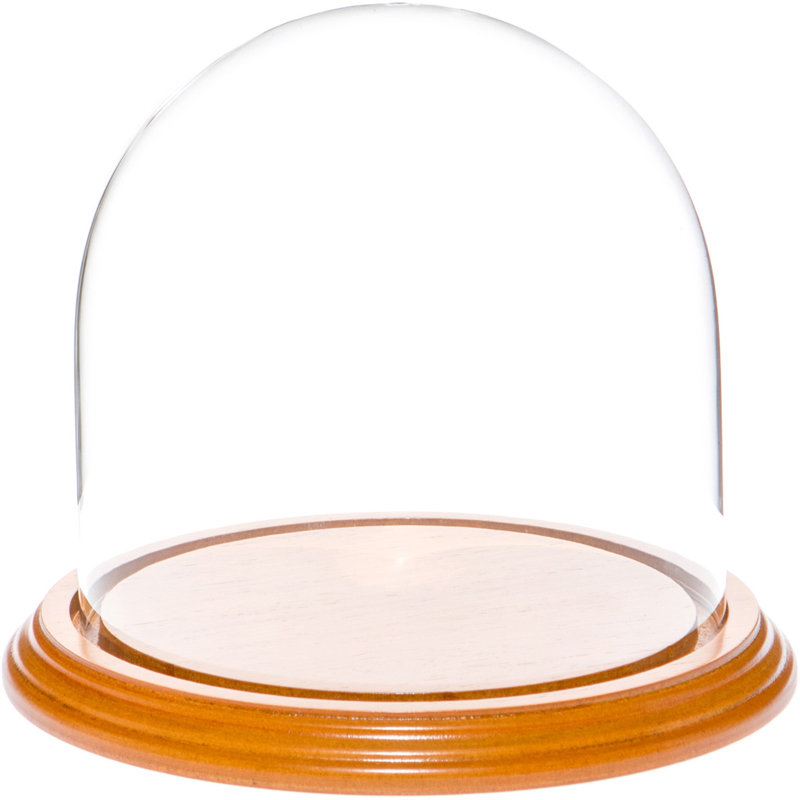 Cloche à dôme en verre 5,5 "x 5,5" Vucciria, Base en placage de chêne