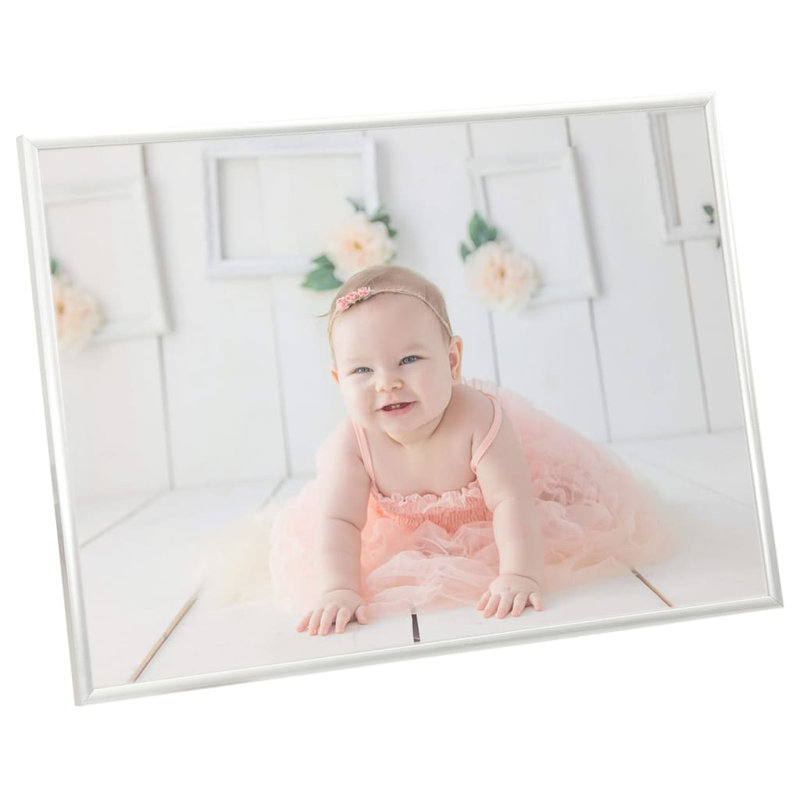 Mickie Picture Frame - Set of 5, Silver, 27.56cm H x 35.43cm W x 0.2cm D