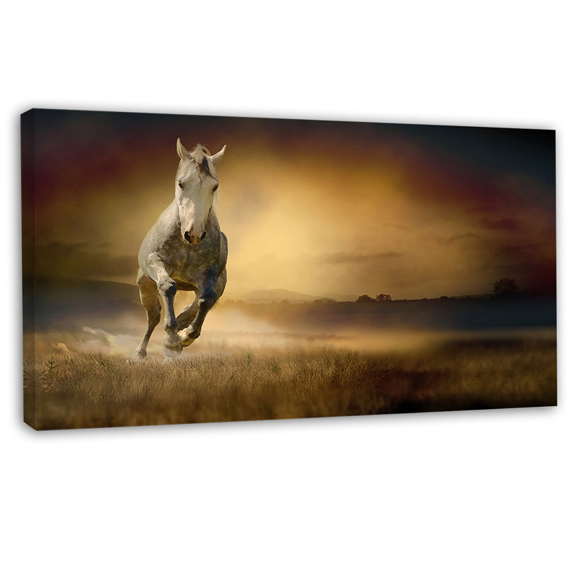 « cheval galloping through valley », reproduction de photo sur toile tendue, H 28 po x l 60 po