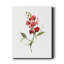 Scarlet Sweet Pea - impression sur toile tendue-1465669864