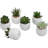 Jarema 4'' Faux Succulent Plant in Ceramic Pot