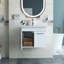Meuble-lavabo mural 24 po avec lavabo, meuble-lavabo mural avec portes doubles, armoire de salle de bain murale, charnières à fermeture en douceur, longues poignées en métal, cuve en céramique, blanc brillant