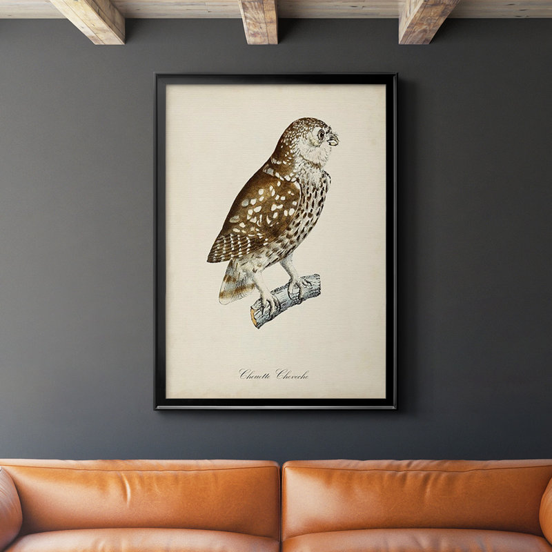 «French Owls I», impression sur papier, Noir, H 36,5 po x l 26,5 po x P 1 po