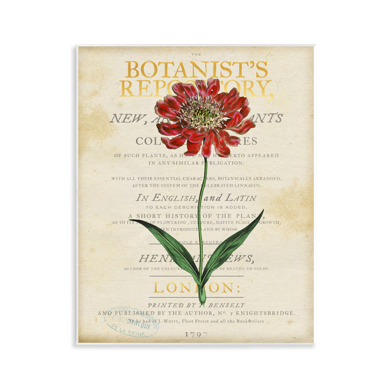 «Flower over Vintage Page», art par Susan Arnot